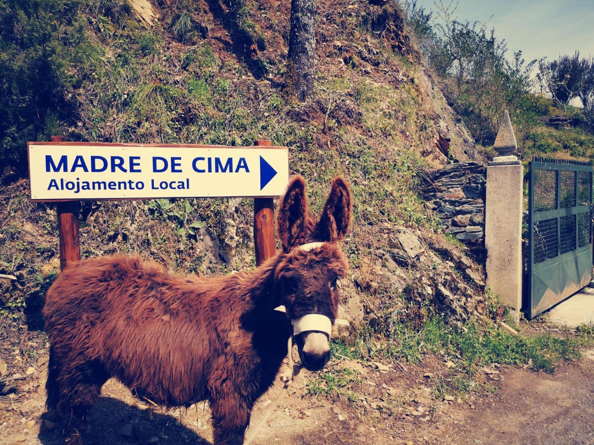 Alojamento Local Madre De Cima 비냐이스 외부 사진